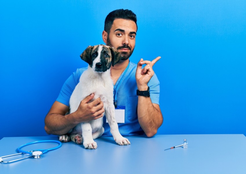 Quel métier exercer pour travailler avec les animaux ?